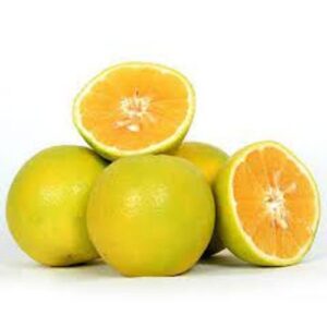 Sweet lemon/ Mosambi ( मोसम्बी )