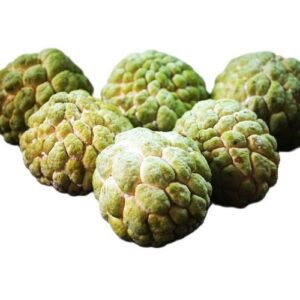 Custard Apple ( सीताफळ )