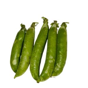 Peas ( मटर / वाटाणे ) - Image 1