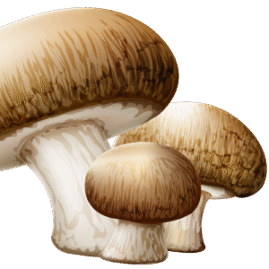 Mushrooms