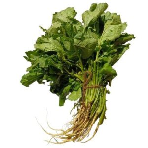 Leaves - Mustard ( सरसों भाजी )