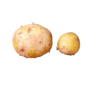 Potato-new ( नया आलू ) - Image 1